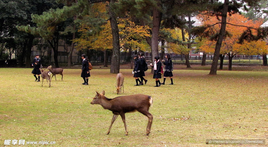 日本奈良
