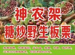 板栗