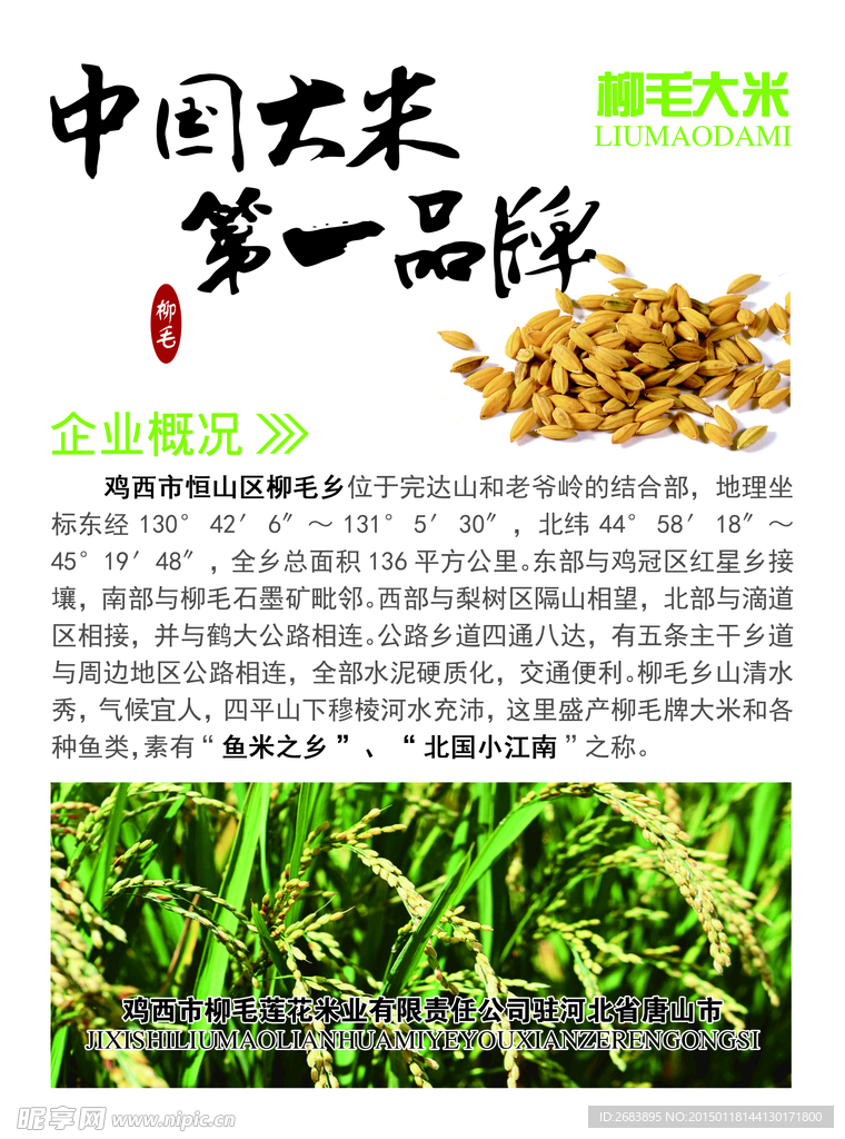 大米传单