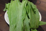 香麦 油麦菜