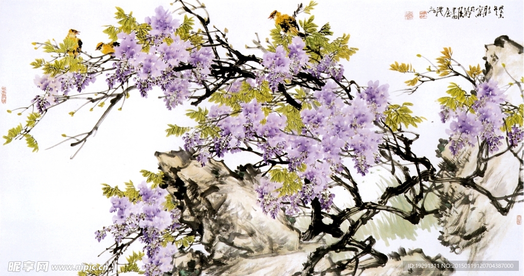 国画花鸟