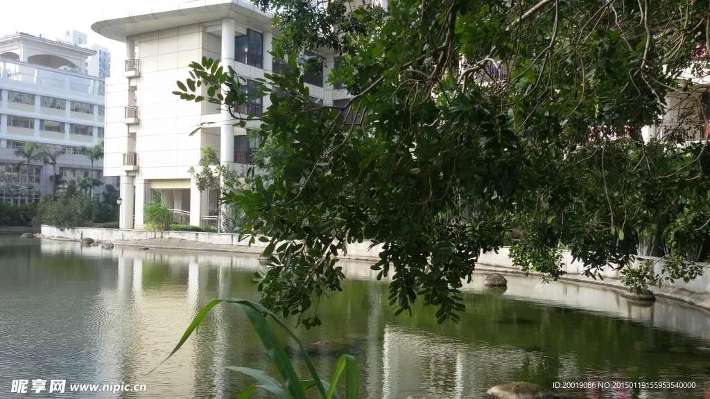 景观水池