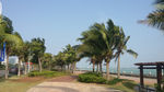 江岸
