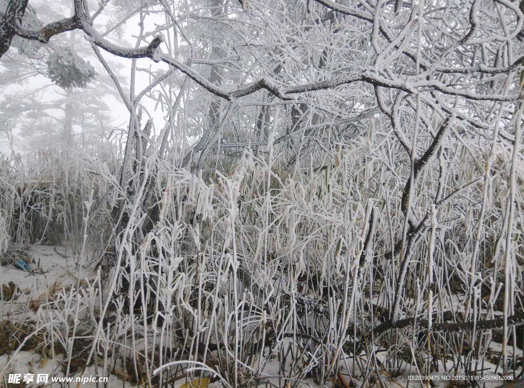 西岭雪山雪景