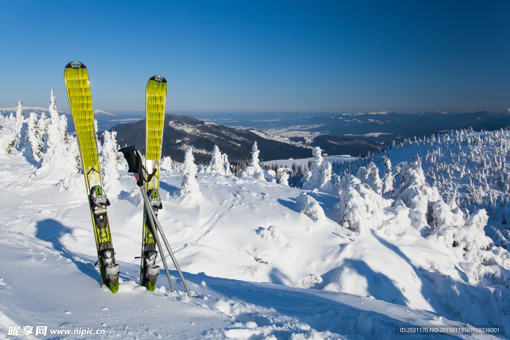 滑雪板