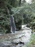 哀牢山风景