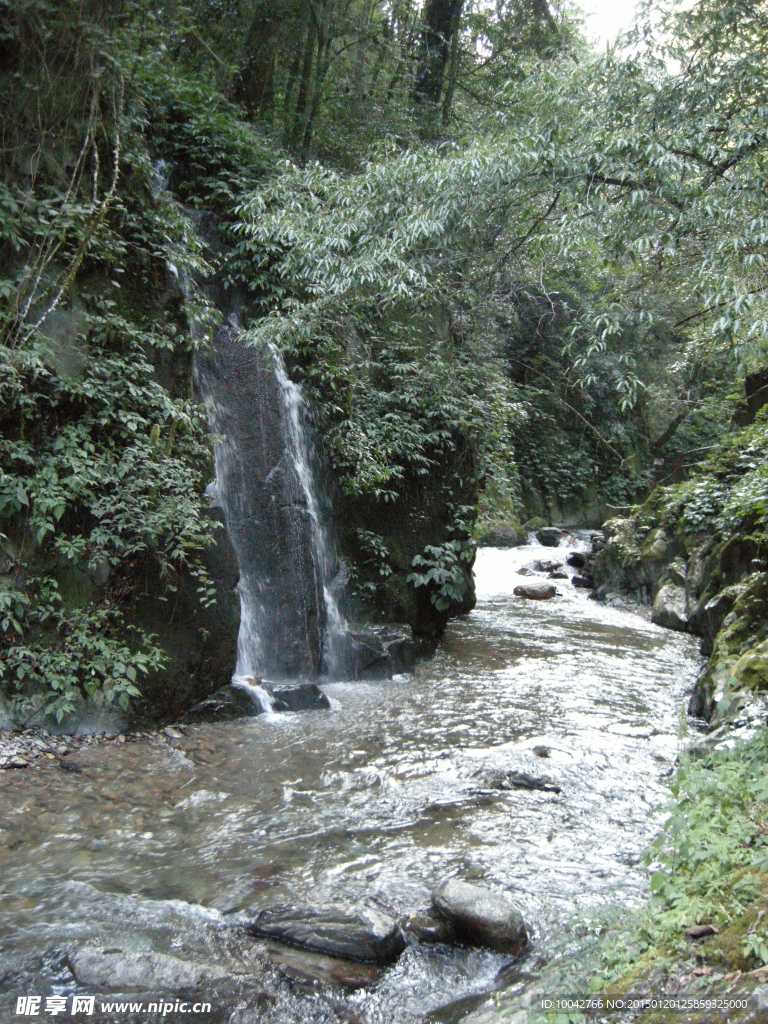 哀牢山风景