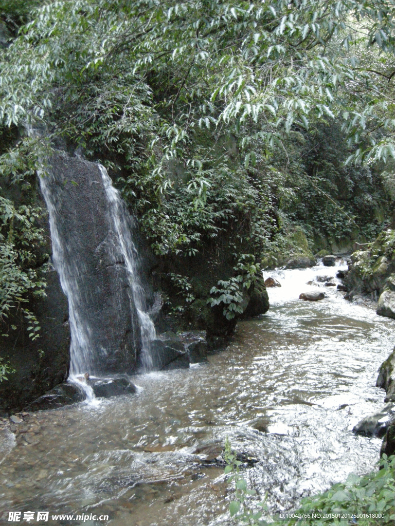 哀牢山风景