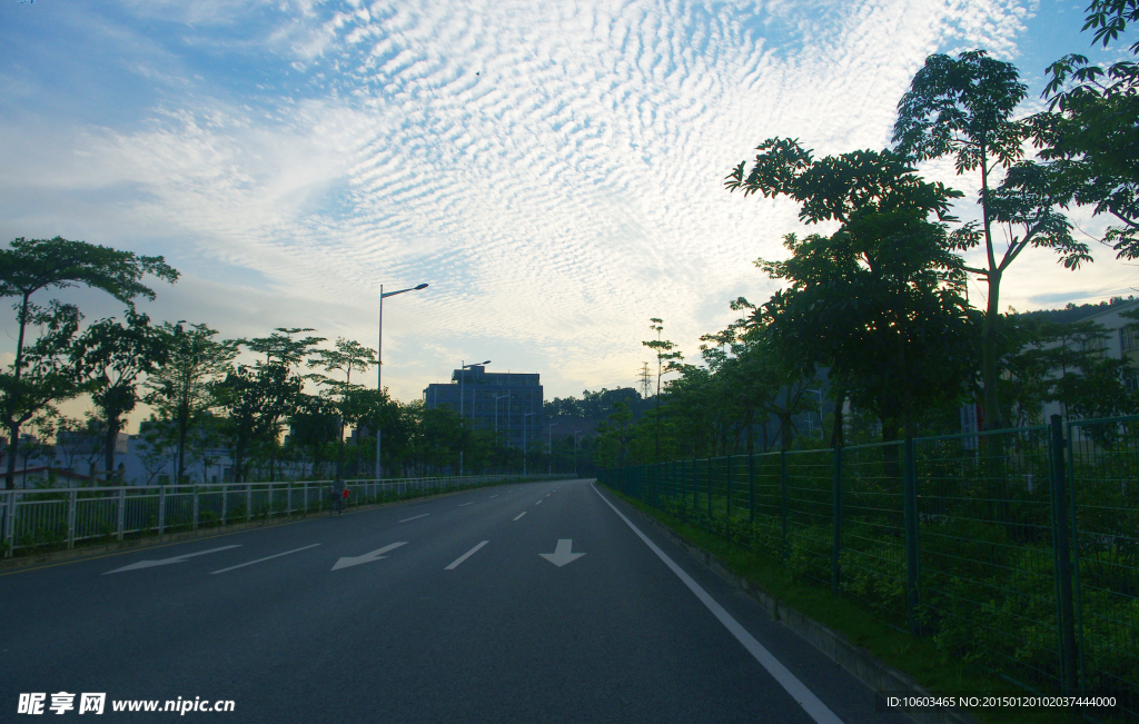 清晨的道路