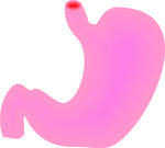 胃