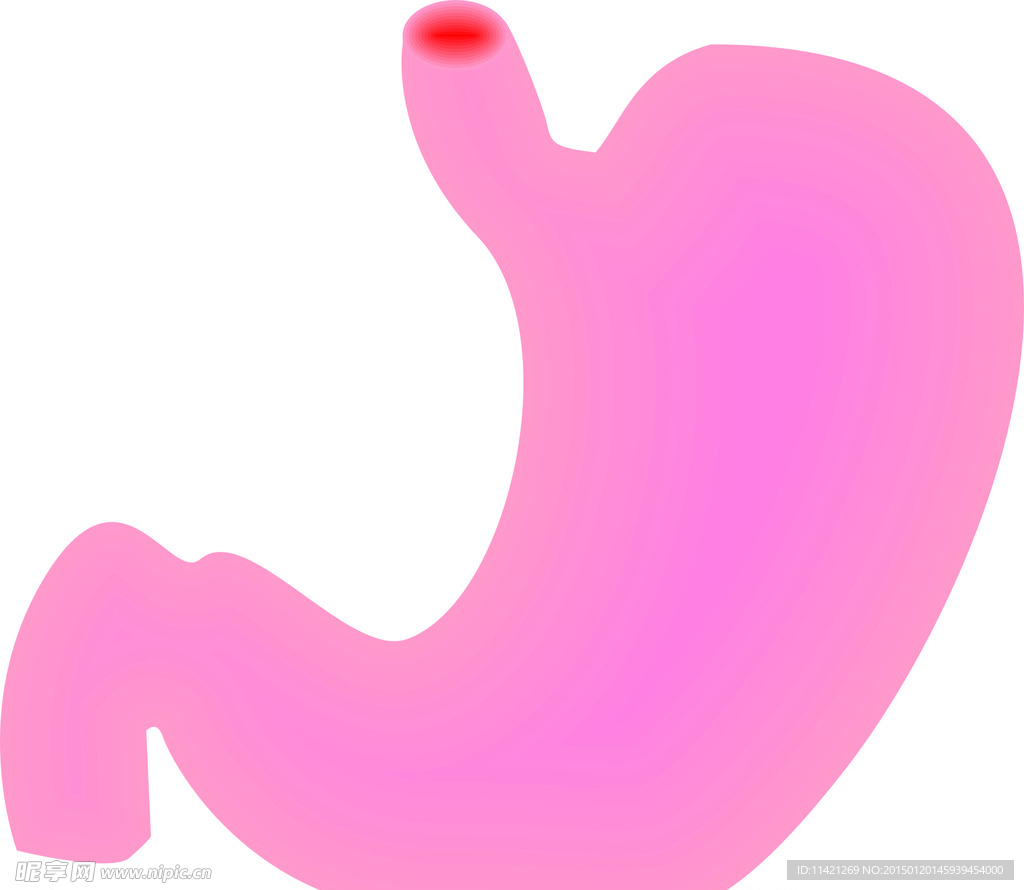 胃