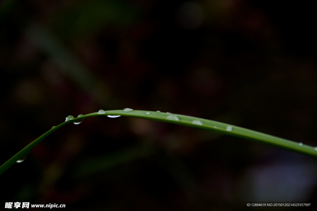 雨滴