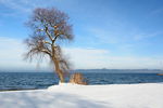 海边雪景