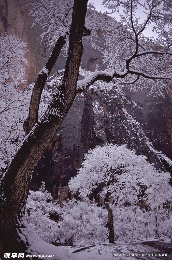 自然美景