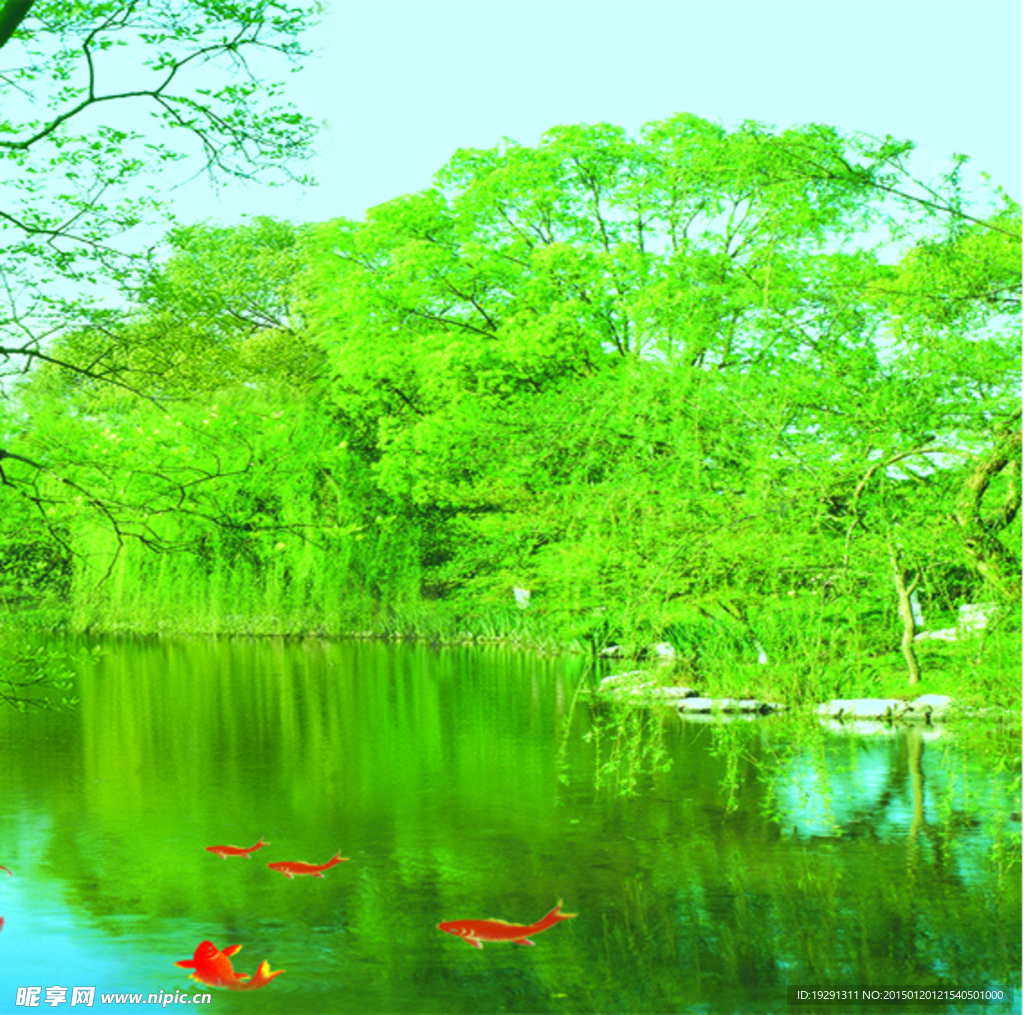 湖水树木风景