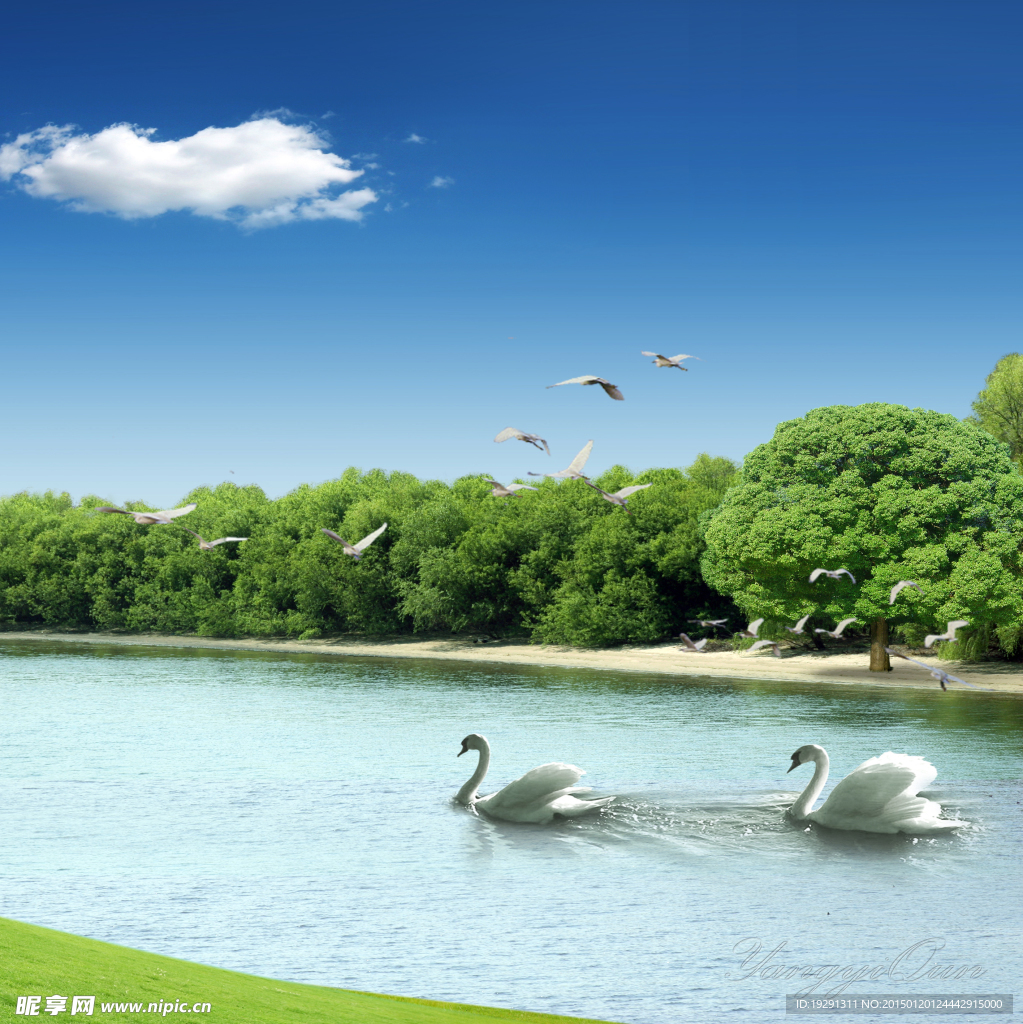 鸭子湖水风景