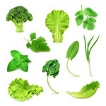 10款精美绿色蔬菜矢量素材
