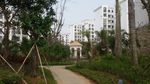 小区景观