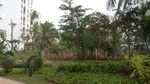 小区景观