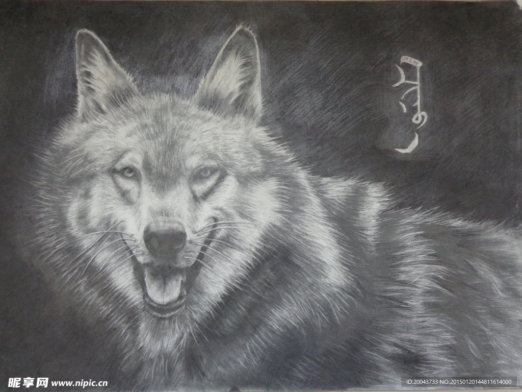 素描狼