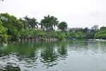 人民公园湖