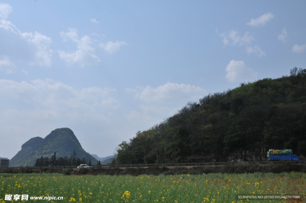 东川油菜地