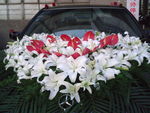 花车