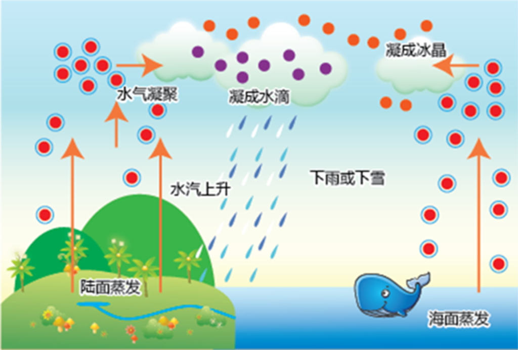 水分循环过程