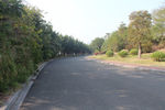 道路风光