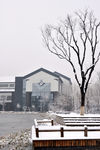 汇龙街雪后景