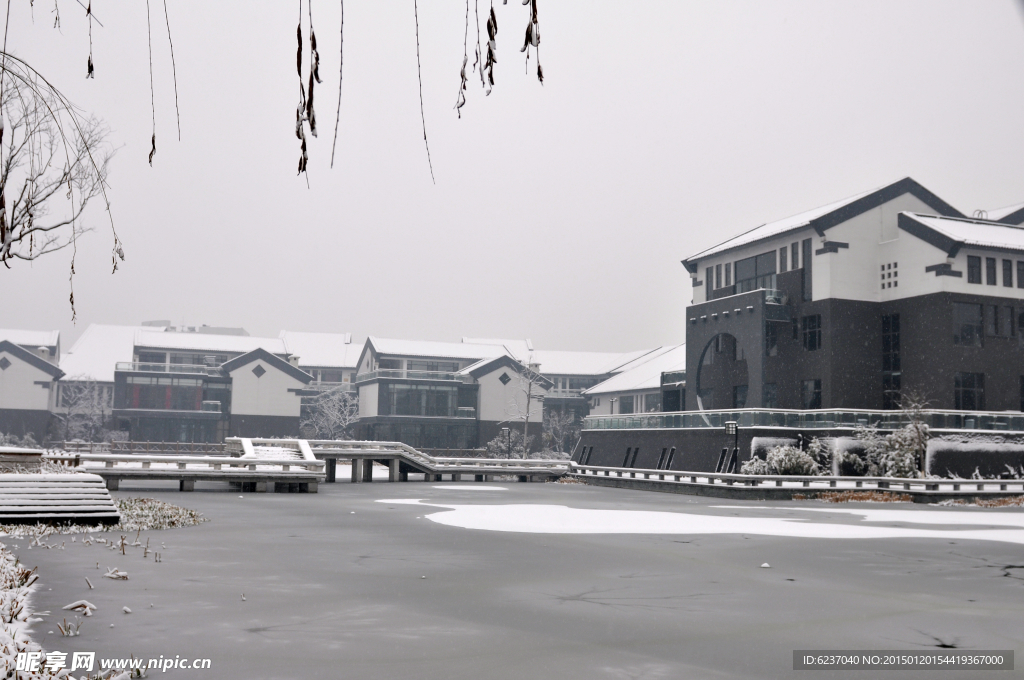 汇龙街雪景