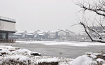 汇龙街雪景1