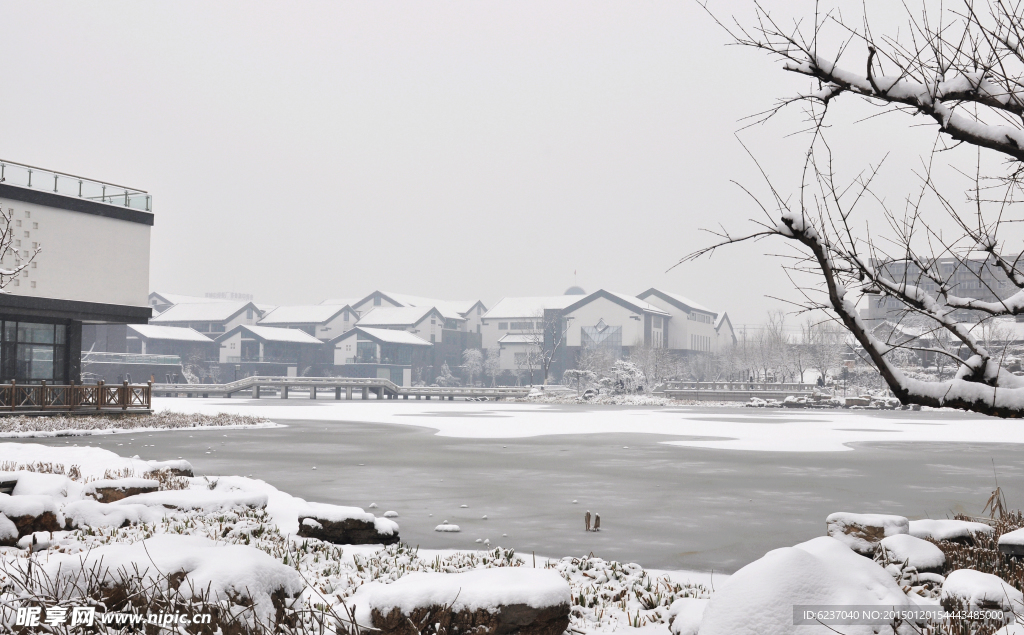 汇龙街雪景1