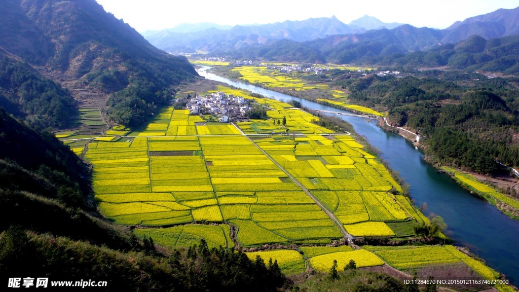 陕西汉中油菜花田