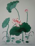 荷花