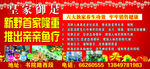 亲亲鱼疗