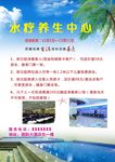 桑拿宣传单