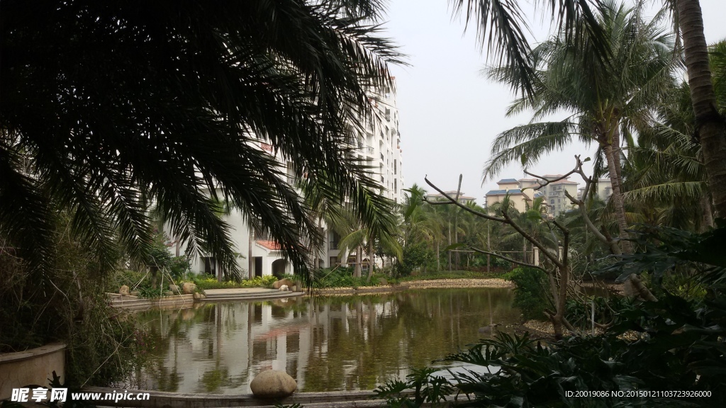 小区水池景观