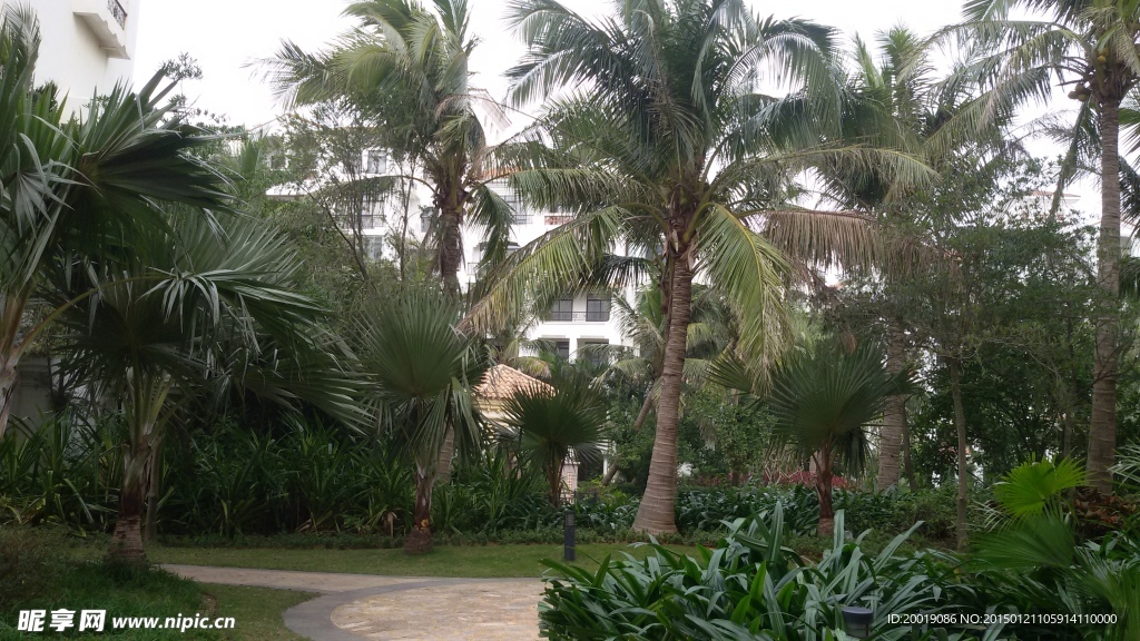 小区景观