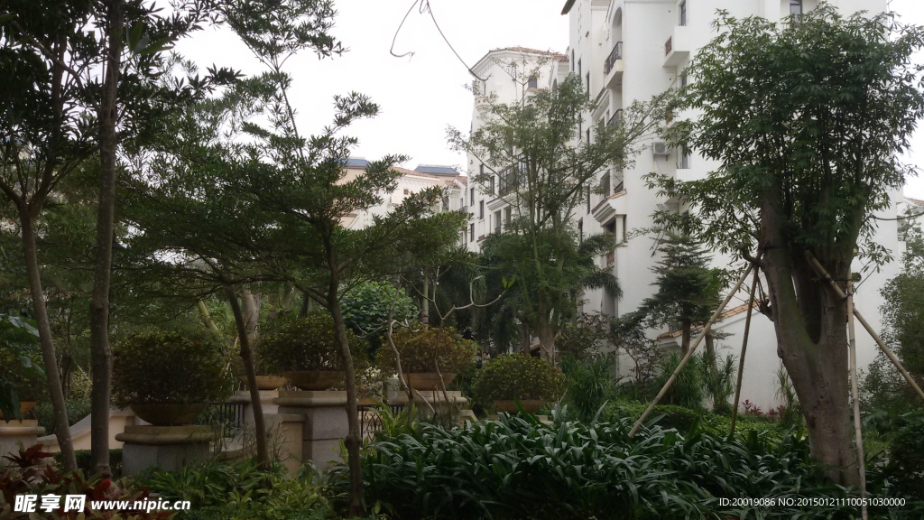 景观设计