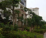 小区景观