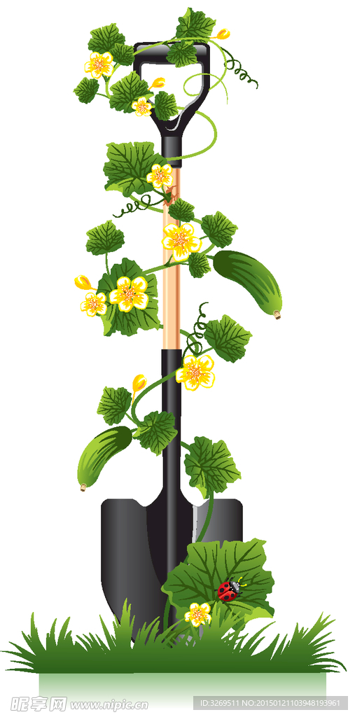 矢量丝瓜花铁锹