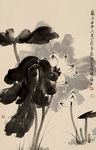荷花图