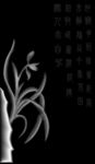 兰花