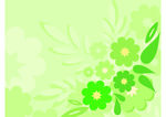 花纹