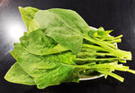 菠菜 火锅