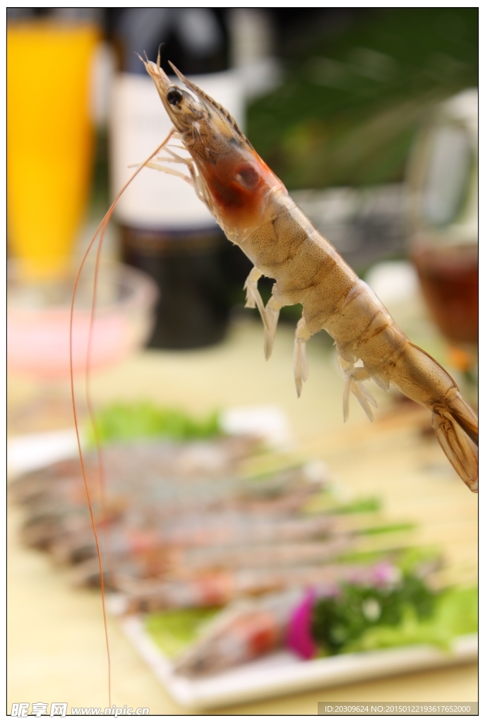 竹节虾