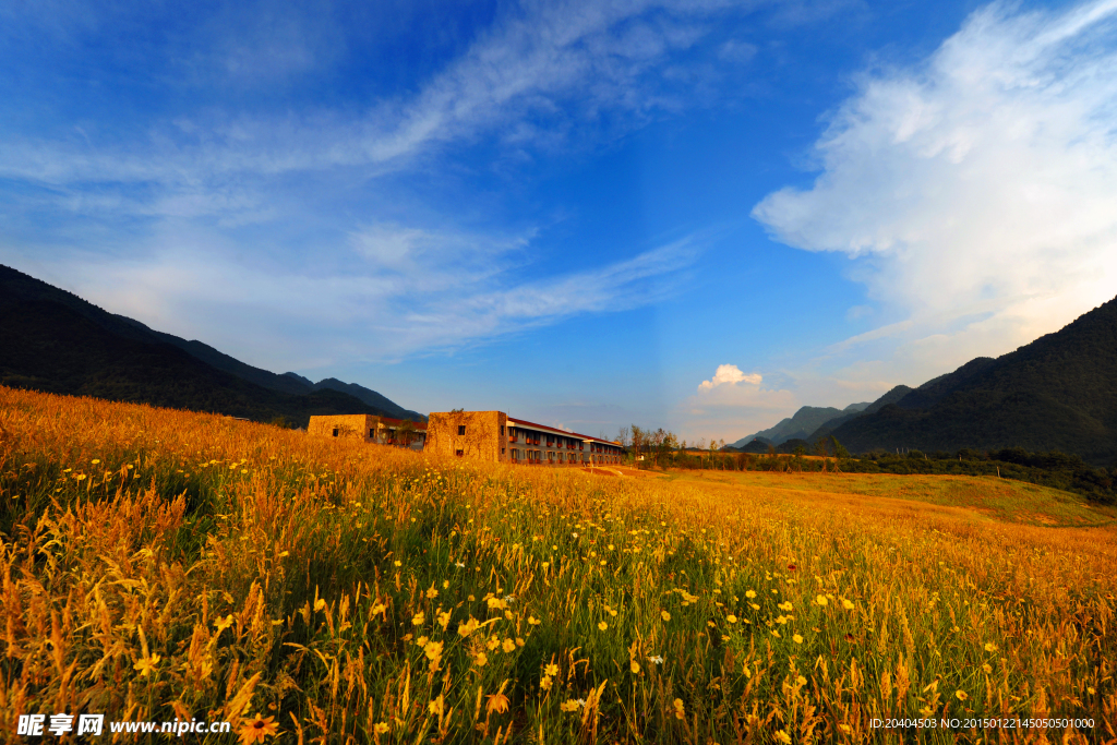 巫溪红池风景