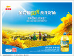 阳光葵花籽油