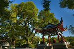 桂林榕湖公园